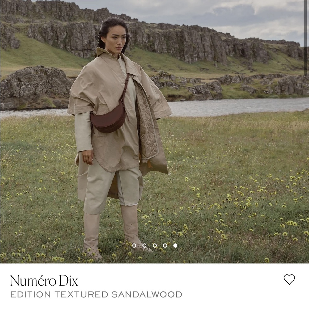 Polene Numero Dix purse - Sandalwood - Picture 3 of 13